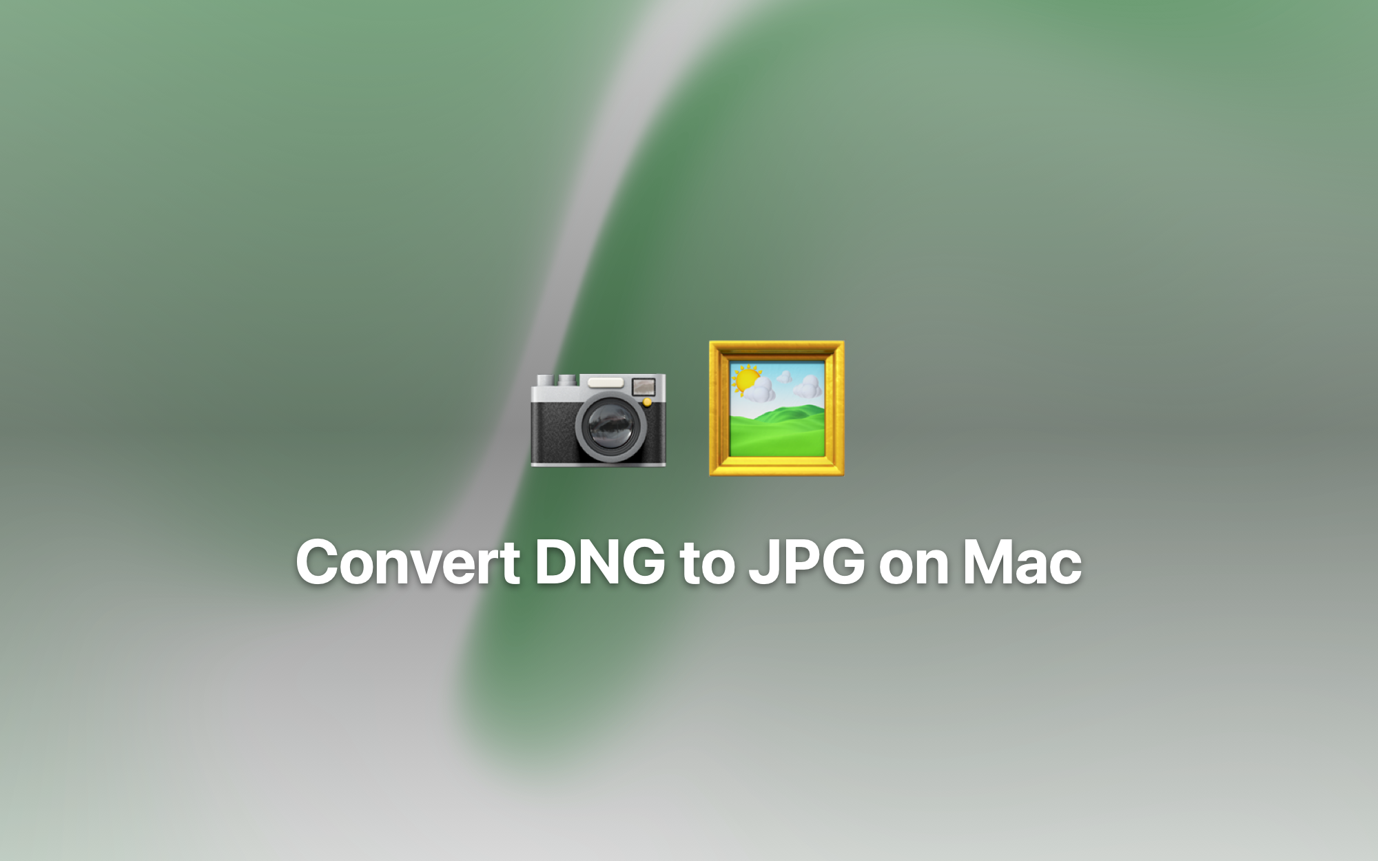 Convert DNG to JPG on Mac cover