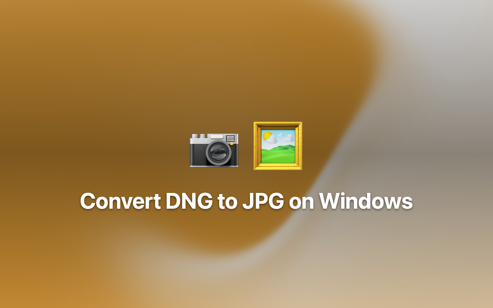 Convert DNG to JPG on Windows cover